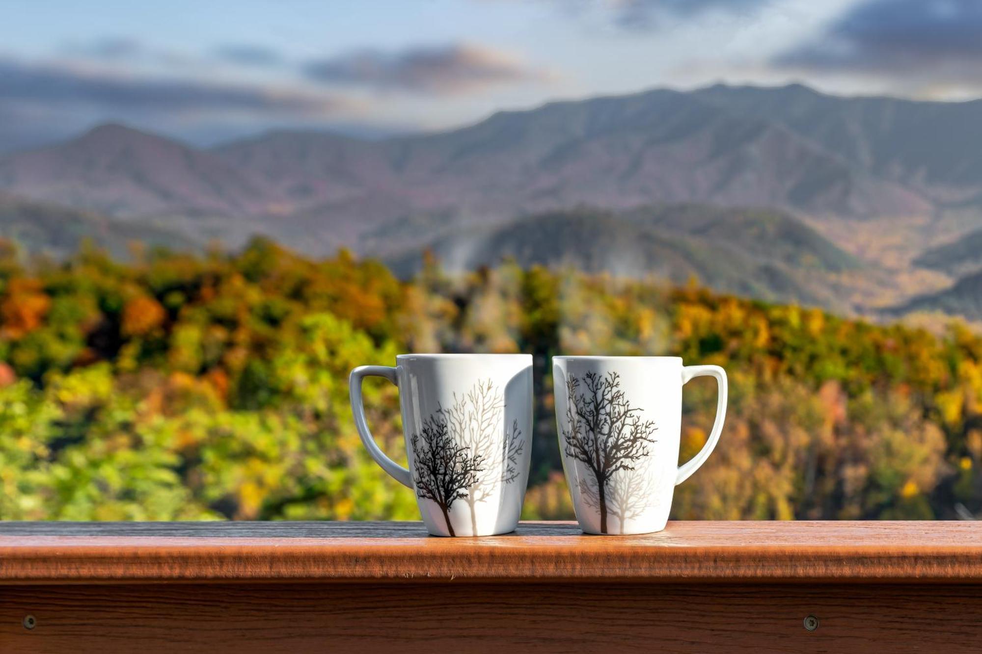3 Bears Chalet Gatlinburg Ngoại thất bức ảnh